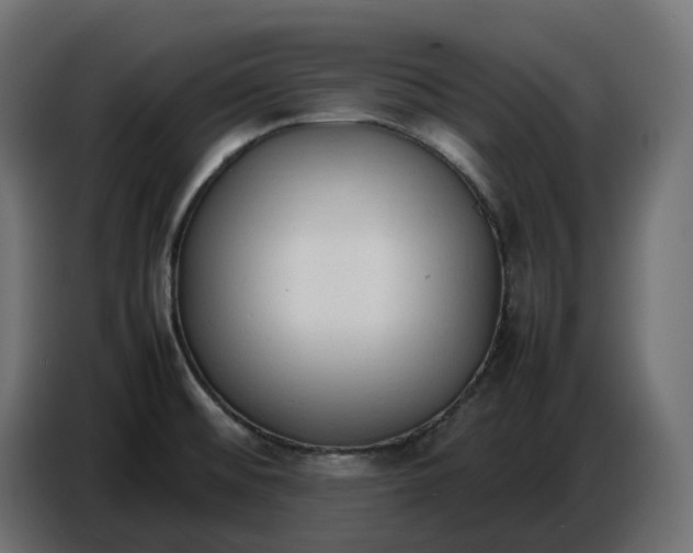X0000086721476200705041318