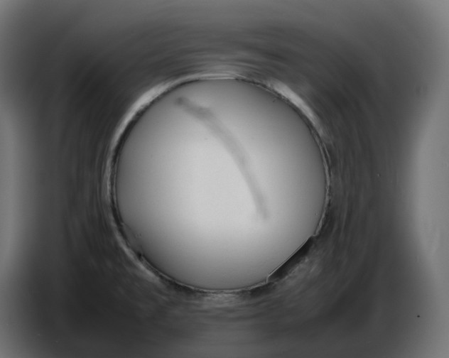 X0000086721477200705041318