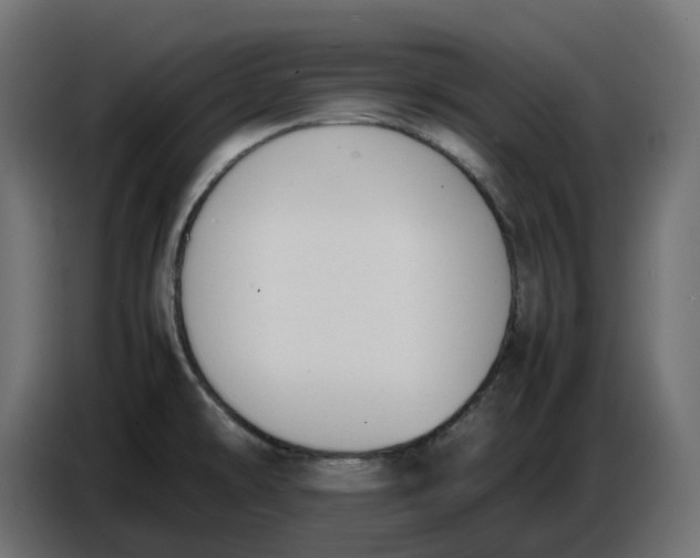 X0000086721478200705041318