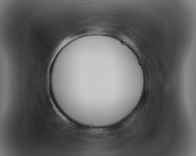 X0000086721479200705041318