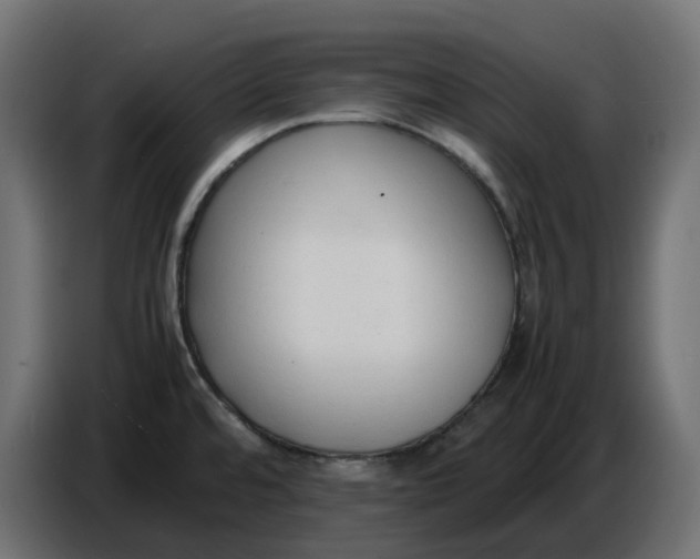 X0000086721480200705041318
