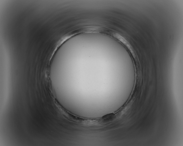 X0000086721481200705041318