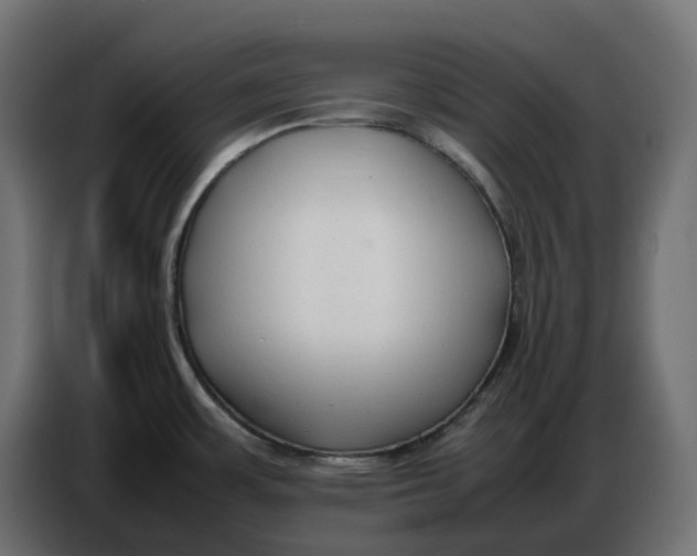 X0000086721483200705041318