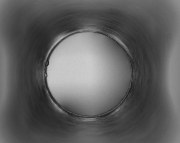 X0000086721484200705041318