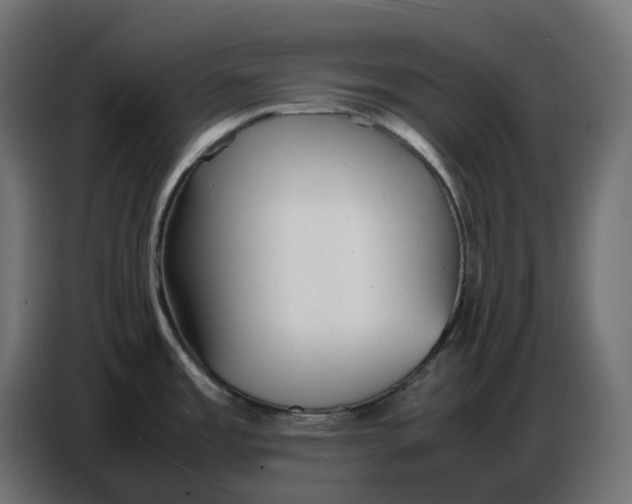X0000086721485200705041318