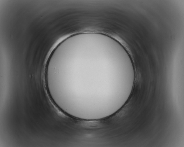 X0000086721486200705041318