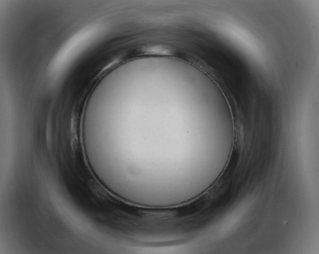 X0000086721487200705041318