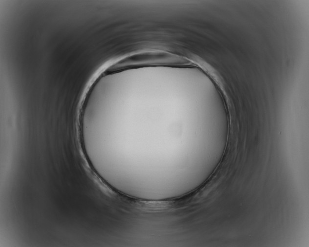 X0000086721488200705041318