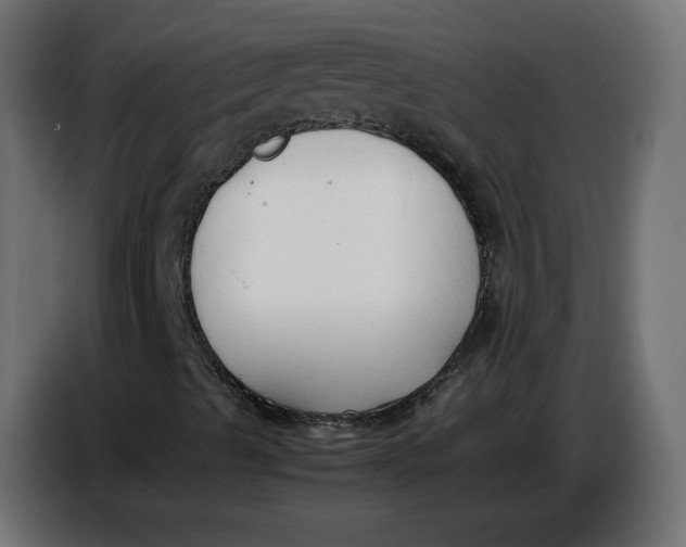 X0000086721489200705041317