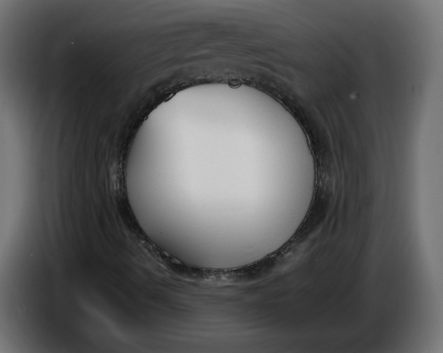 X0000086721490200705041317