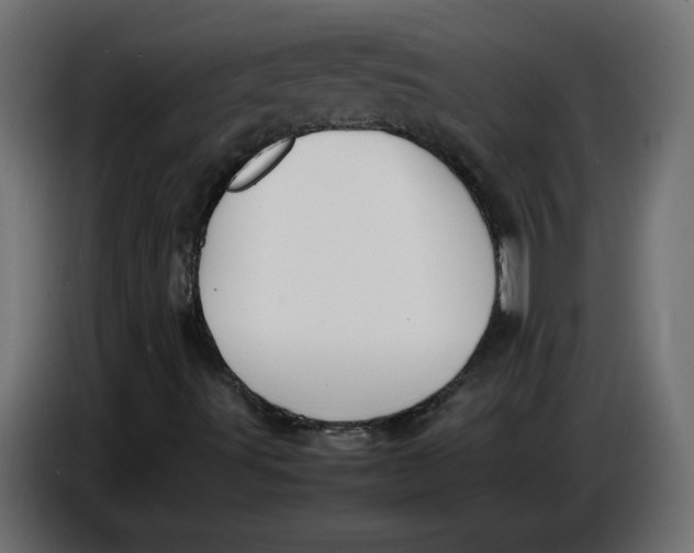 X0000086721491200705041317
