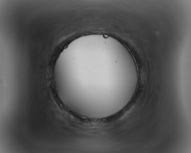 X0000086721494200705041317