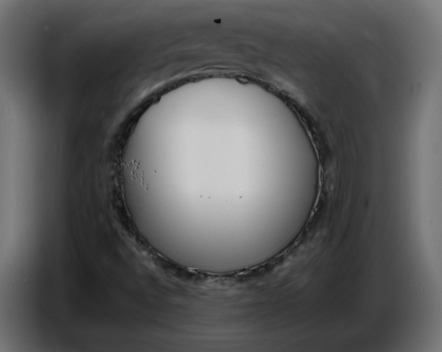 X0000086721496200705041317