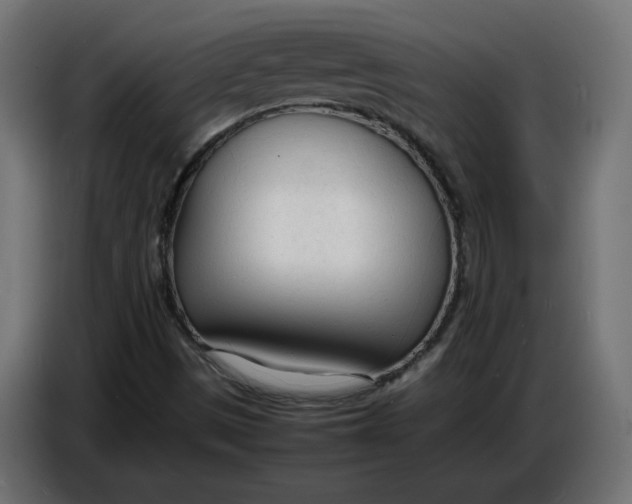 X0000086721497200705041317