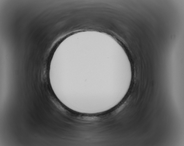 X0000086721498200705041317