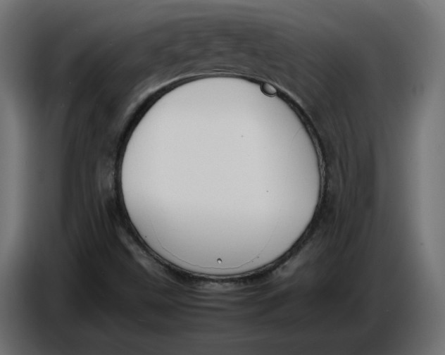 X0000086721499200705041317