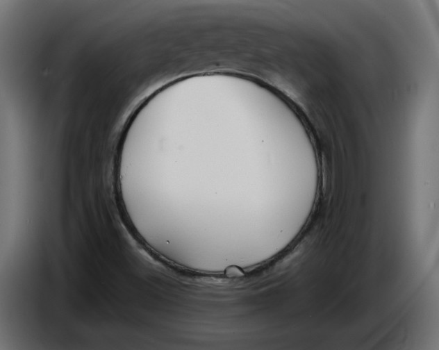 X0000086721500200705041317