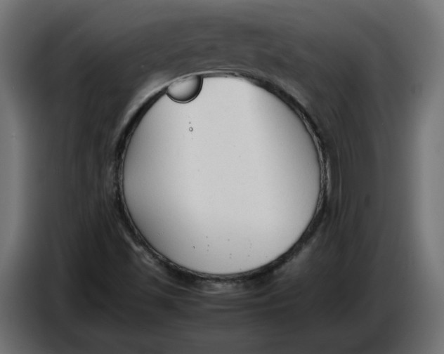 X0000086721501200705041317