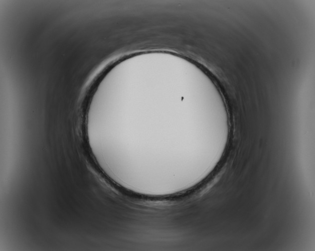X0000086721502200705041317