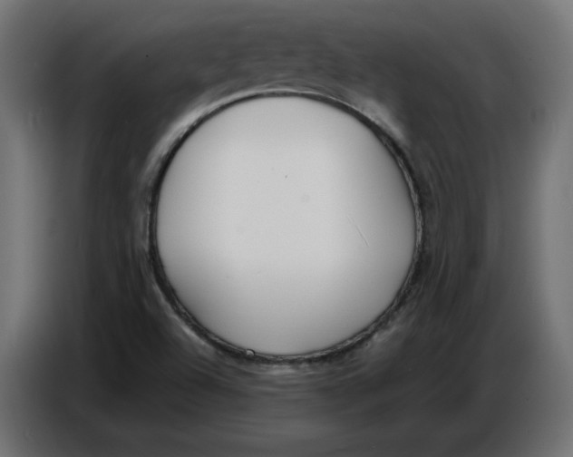 X0000086721504200705041317