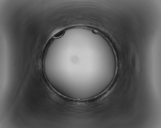 X0000086721505200705041317