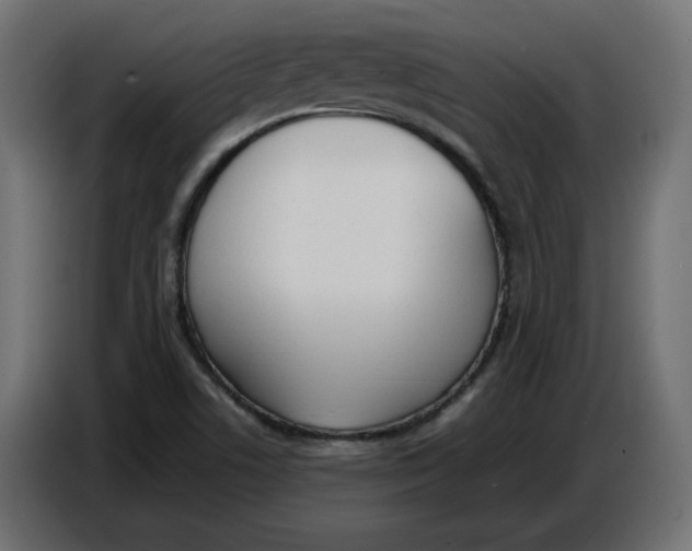 X0000086721506200705041317