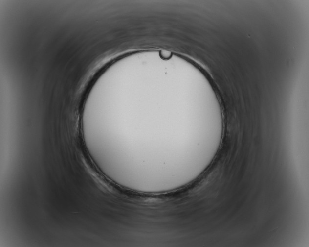 X0000086721507200705041317