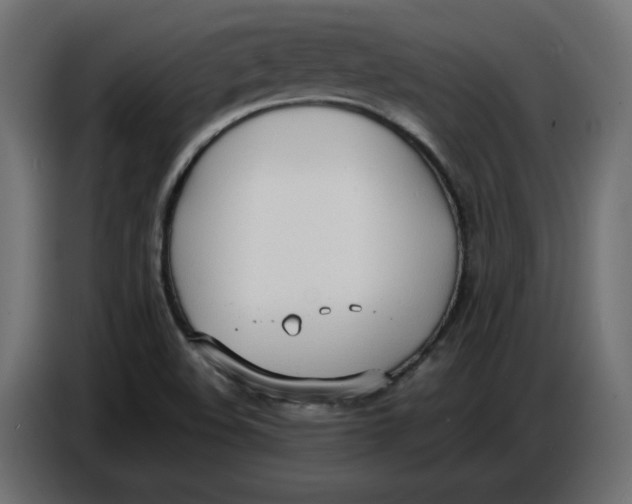 X0000086721508200705041317