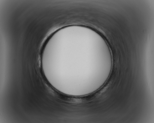 X0000086721509200705041317