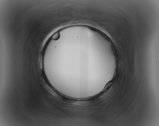 X0000086721510200705041317