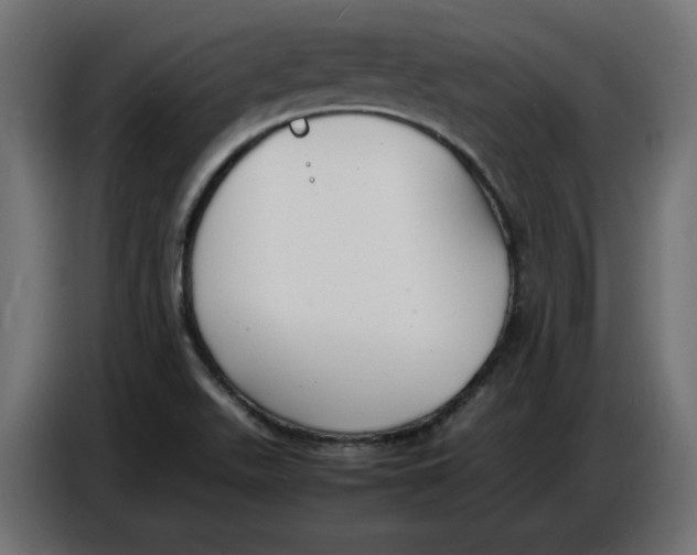 X0000086721511200705041317