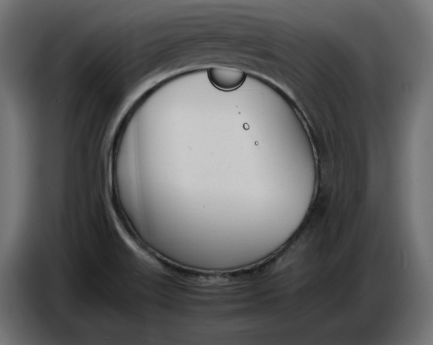 X0000086721515200705041317