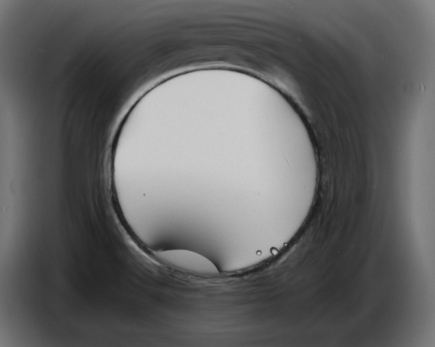 X0000086721516200705041317