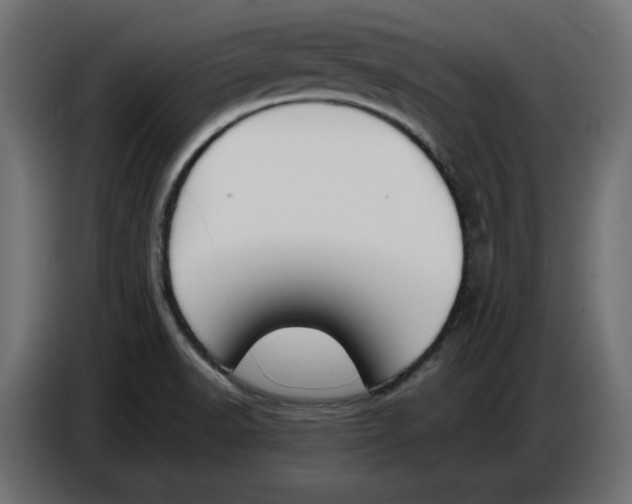 X0000086721518200705041317