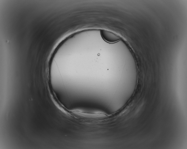 X0000086721519200705041317