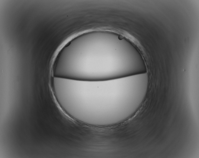 X0000086721520200705041317