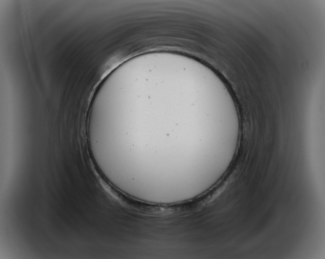 X0000086721521200705041317