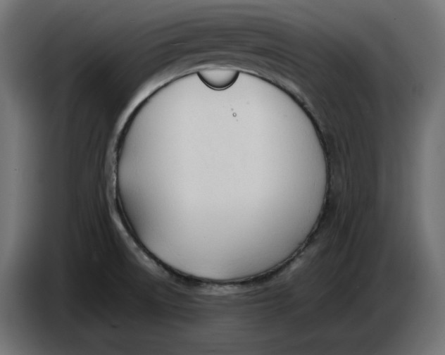 X0000086721522200705041317
