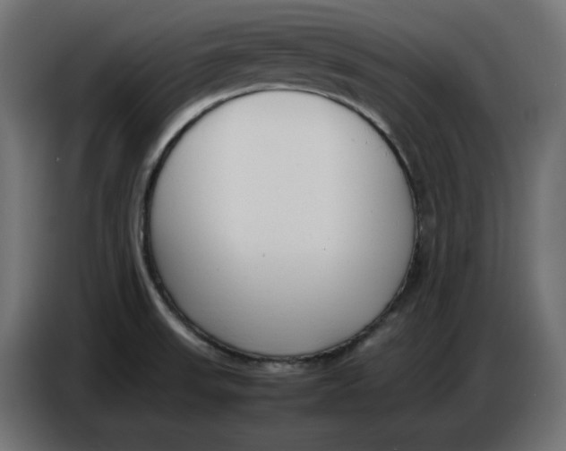 X0000086721523200705041317