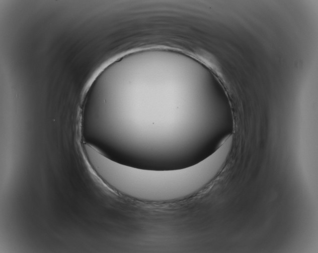 X0000086721524200705041317