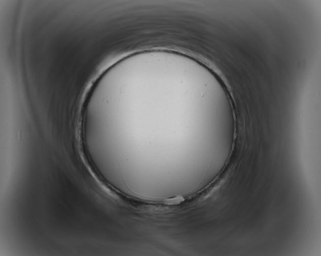 X0000086721525200705041317