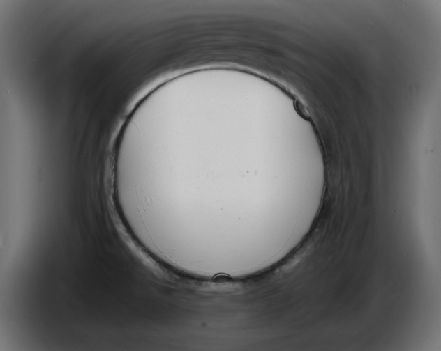 X0000086721526200705041317