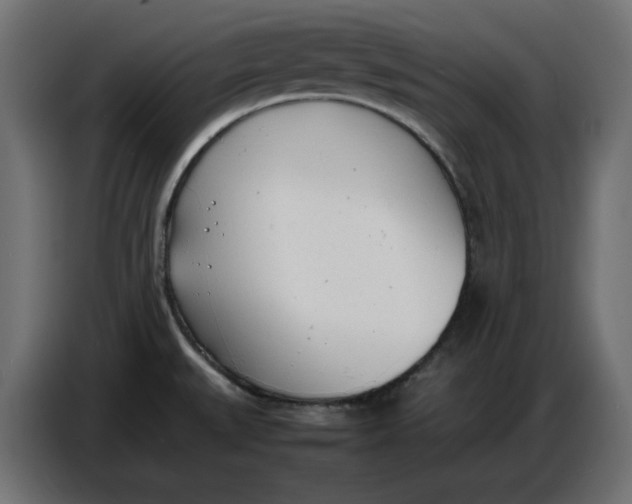 X0000086721527200705041317