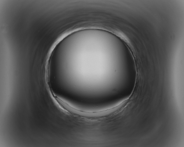 X0000086721528200705041317