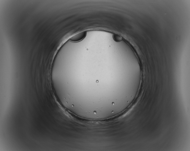 X0000086721529200705041317