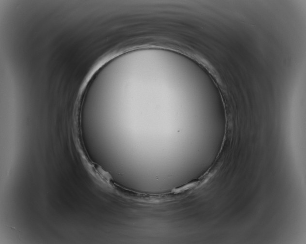 X0000086721530200705041317