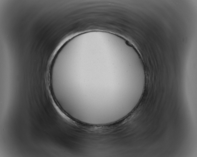 X0000086721531200705041317