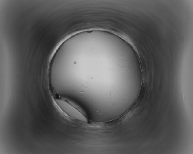 X0000086721532200705041317