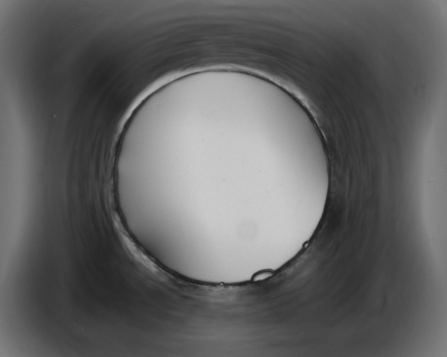 X0000086721534200705041317
