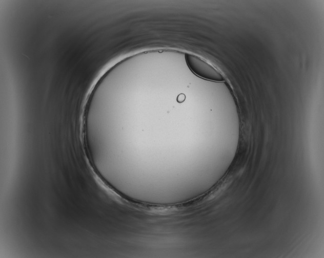 X0000086721535200705041317